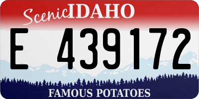 ID license plate E439172