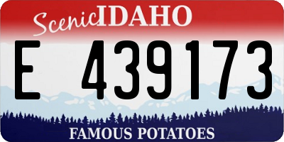 ID license plate E439173
