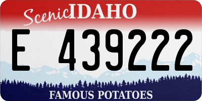 ID license plate E439222