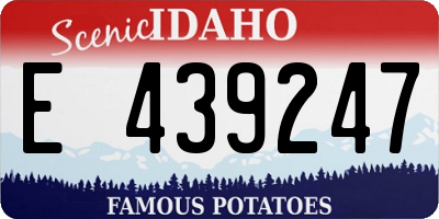 ID license plate E439247
