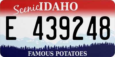 ID license plate E439248