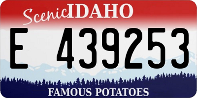 ID license plate E439253