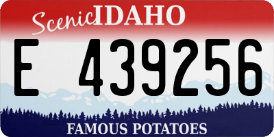 ID license plate E439256