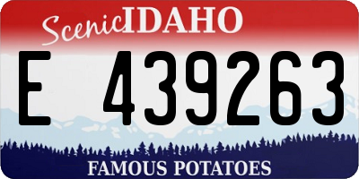 ID license plate E439263