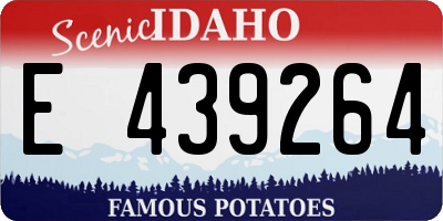 ID license plate E439264