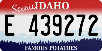 ID license plate E439272