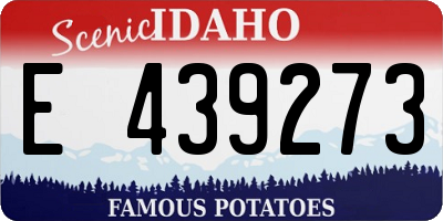 ID license plate E439273