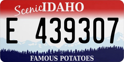 ID license plate E439307