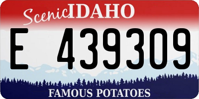 ID license plate E439309