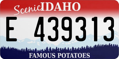 ID license plate E439313