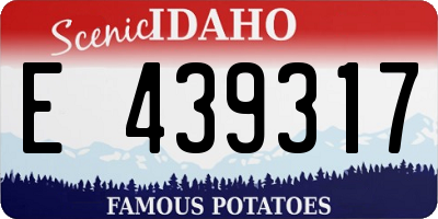 ID license plate E439317