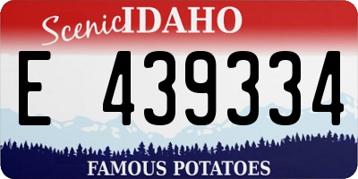 ID license plate E439334