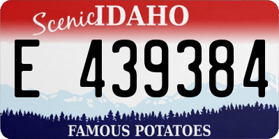 ID license plate E439384