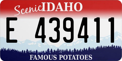 ID license plate E439411