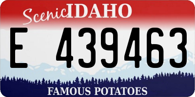 ID license plate E439463