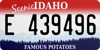 ID license plate E439496