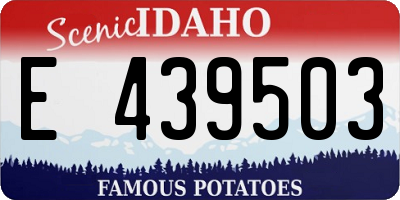 ID license plate E439503