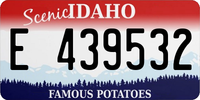 ID license plate E439532
