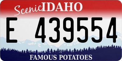 ID license plate E439554