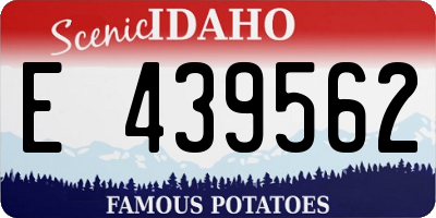 ID license plate E439562
