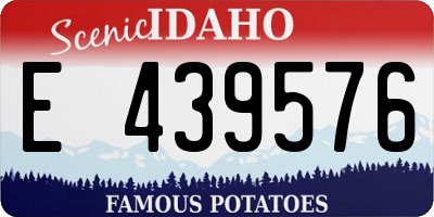 ID license plate E439576