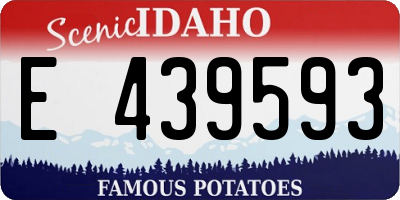 ID license plate E439593