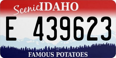ID license plate E439623