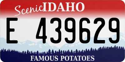ID license plate E439629