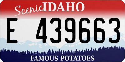 ID license plate E439663