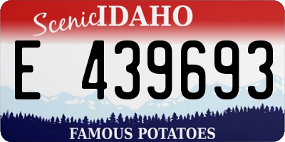 ID license plate E439693