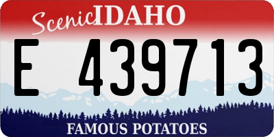 ID license plate E439713