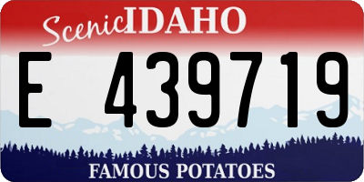 ID license plate E439719