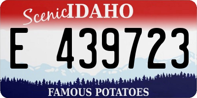ID license plate E439723