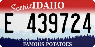 ID license plate E439724
