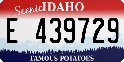 ID license plate E439729