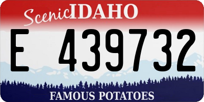 ID license plate E439732