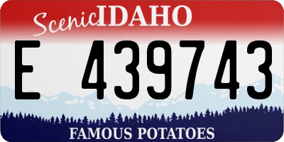 ID license plate E439743