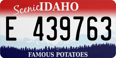ID license plate E439763