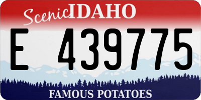 ID license plate E439775