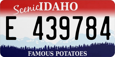 ID license plate E439784