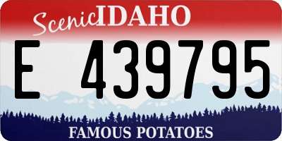 ID license plate E439795