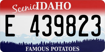 ID license plate E439823
