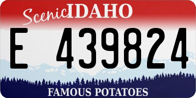 ID license plate E439824