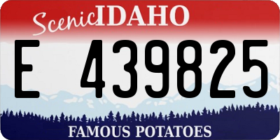 ID license plate E439825