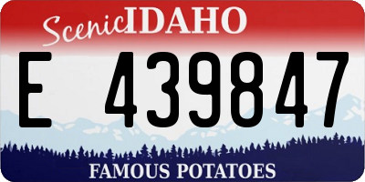 ID license plate E439847