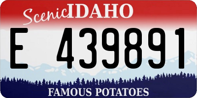 ID license plate E439891
