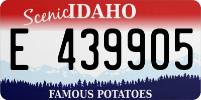 ID license plate E439905