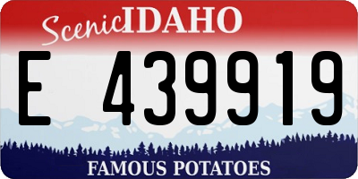 ID license plate E439919