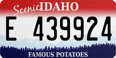 ID license plate E439924