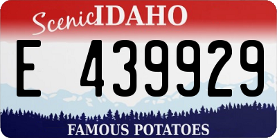 ID license plate E439929